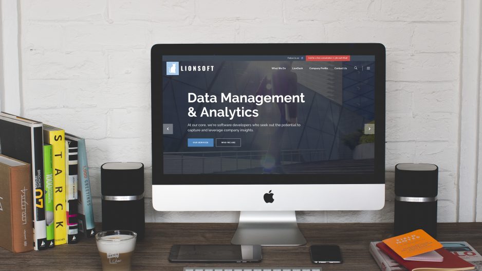 LionSoft Website Design